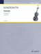 sw1041.jpg