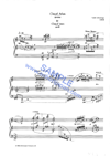 sj1048-1.gif