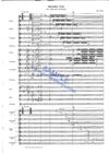 sj1063.gif