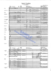 sj1100.gif