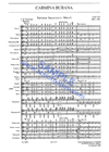ORFF: CARMINA BURANA sw2048.gif