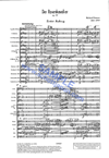 sw3076.gif
